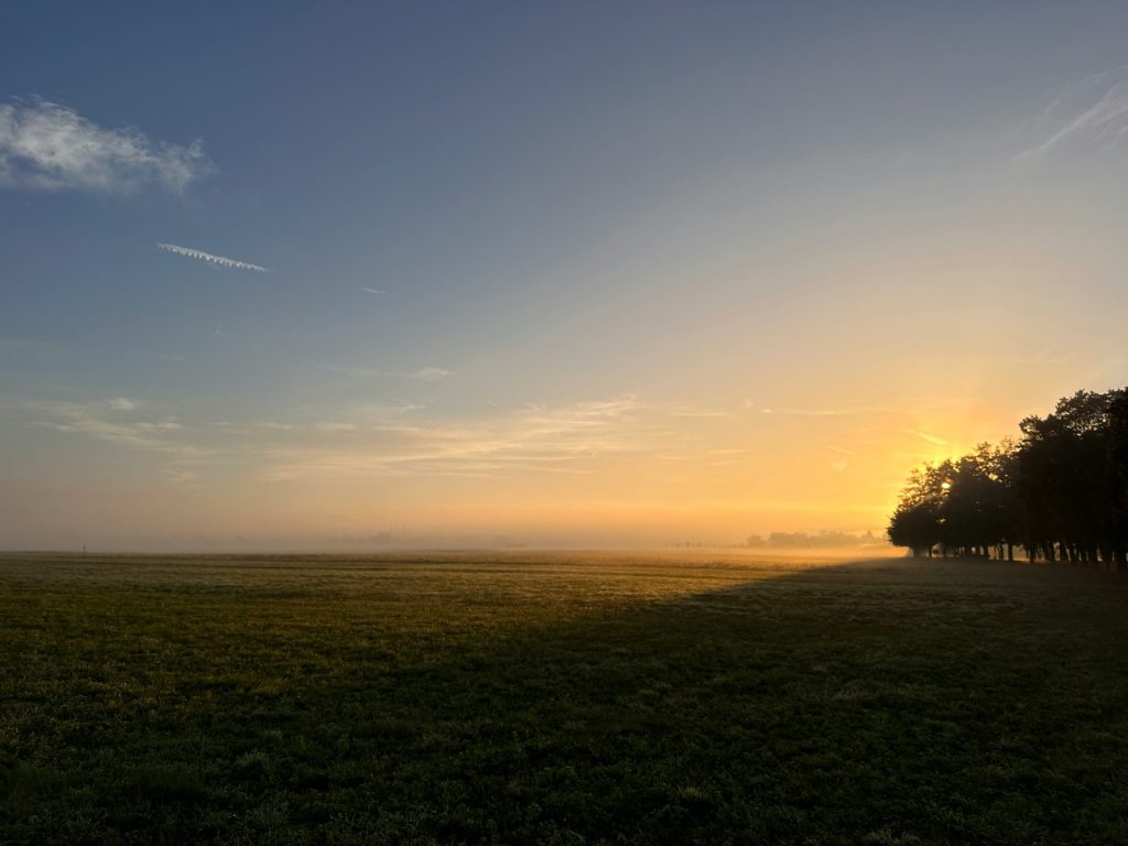 a grassy field with trees and a sunset in the background